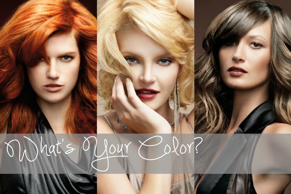 A hair color palette from MjjM Salons' Supercuts stylists